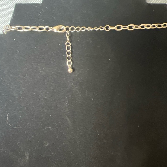 Turquoise Fringe Necklace - Picture 4 of 5